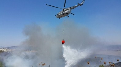 Milas'da Makilik Alanda Çıkan Yangın Kontrol Altına Alındı