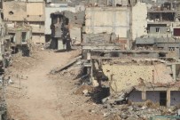 DARMADAĞıN - Nusaybin'de 3 Bin Bina Yakıldı