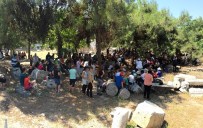 HONDURAS - Akhisar'da Bir Günde 17 Ülkeden 285 Turist Geldi