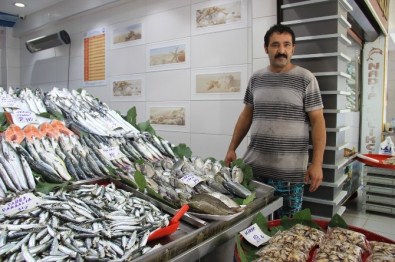 Balıklar El Yakıyor