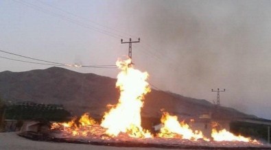 Baskil'de Çıkan Yangın Evlere Sıçramadan Söndürüldü