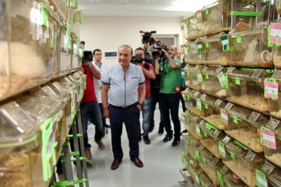 FETÖ Mağduru Hayvanlara Devlet Sahip Çıktı