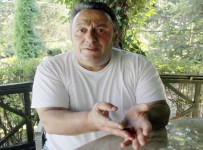 Hislere tercüman oldu: Gezici sanatçılar nerede?