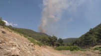 TUNÇBILEK - Tavşanlı'daki Orman Yangını Kontrol Altına Alındı