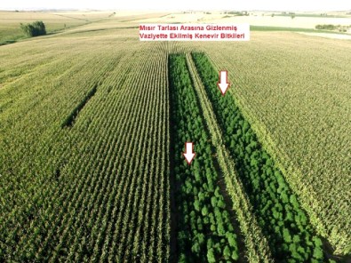 Diyarbakır'da Uyuşturucu Tacirlerine Büyük Darbe