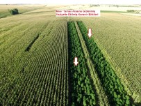 Diyarbakır'da Uyuşturucu Tacirlerine Büyük Darbe