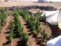 Diyarbakır'da Yüklü Miktarda Uyuşturucu Ele Geçirildi