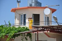 TAŞAĞıL - Ormanların Dostu Duman Avcıları