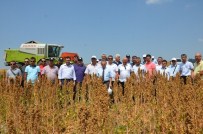 ZEKERIYA SARıKOCA - Astronot Gıdasının İlk Hasadı Yapıldı