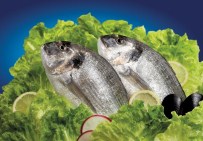SAĞLIKLI BESİN - Balık Vücut Direncini Arttırıyor