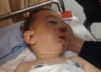 Bebeğin İnanılmaz Kurtuluşu