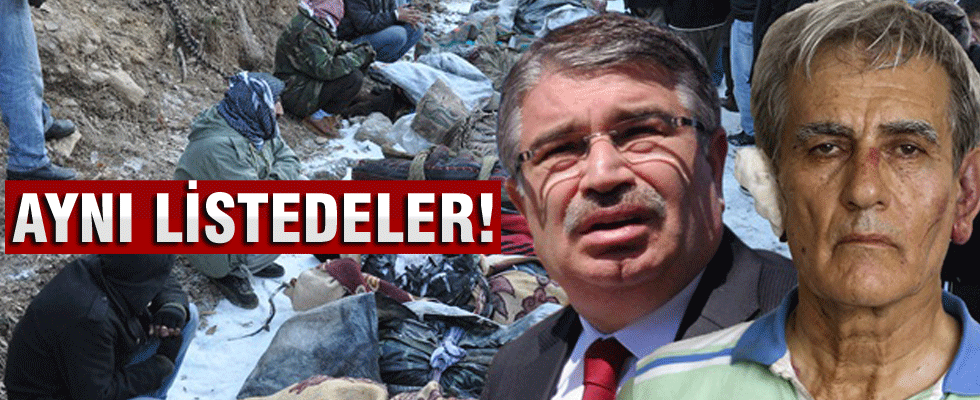 Eski İçişleri Bakanı Şahin Hakkında 'Uludere' şikayeti