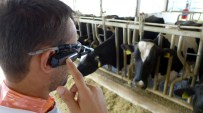 BİTKİSEL ÜRÜN - Hayvancılık Sektöründeki Zararlar Akılı Gözlüklerle Tespit Edilecek