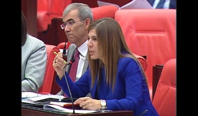 İnceöz'den Batı Basınına Tepki