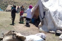 KATO DAĞı - Sağlık Ekipleri At Sırtında Doğum Hastasına Ulaştı