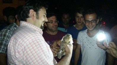 20 Gündür Mahalleyi Uyutmayan Esrarengiz Sesin Kaynağı Belli Oldu