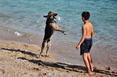 Çocuklar Yoruldu Köpek Yorulmadı