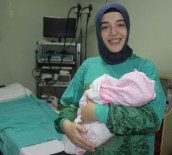 Aydın'da Çiftler 2015 Ekim'ini Çok Sevdi