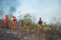 ORMAN ARAZİSİ - Kocaeli'de 20 Dönümlük Ormanlık Alan Kül Oldu