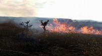 Osmaneli'de Ot Yangını