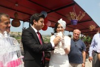 HÜSEYIN YıLDıZ - Safranbolu Belediyesi'nin Mutlu Günü