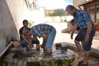 Siirt'te Sıcaklar Bunaltıyor