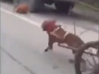 FAYTON - Bunun Adı İşkence!