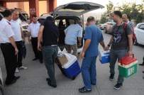 GAZİ YAŞARGİL - Aysel'in Organları 3 Kişiye Hayat Verecek