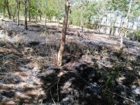 İŞ GÜVENLİĞİ UZMANI - Diyarbakır'da Okullar Uzmanlara Emanet