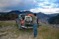 Gümüşhane'de 5 Kızıl Şahin Yakalandı