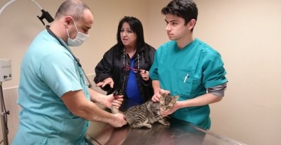 Belediye 6 Bin 858 Dostuna Kucak Açtı