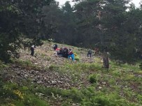 Giresun'da Askeri Helikopter Düştü Açıklaması 1 Şehit, 2 Ağır Yaralı