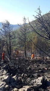 Silifke'de Çıkan Orman Yangını Kontrol Altına Alındı