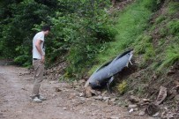 Helikopter Kazasının Yaşandığı Bölge Güvenlik Çemberine Alındı