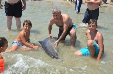 Kıyıya Vuran Yavru Yunusu Vatandaşlar Kurtardı