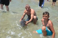 Kıyıya Vuran Yunusu Vatandaşlar Kurtardı