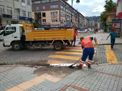 Rize'de Şiddetli Yağış Hayatı Olumsuz Etkiledi