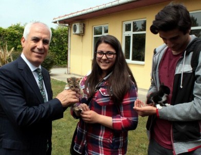 Sokaktan Toplayıp Sahip Buluyorlar