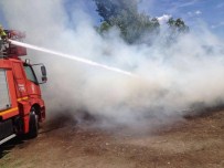 ALTıNOLUK - Bayramda Körfez İlçeleri Yandı