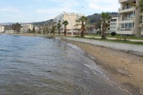 ÇÖP KUTUSU - Büyükşehir, Dereköy Sahilinde Çalışmalarını Tamamladı