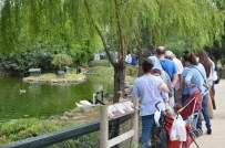 Bursa Zoo Park Ziyaretçi Akınına Uğradı