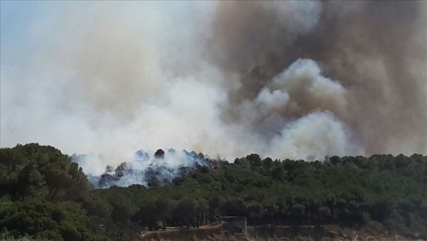 Çanakkale'de şehitliklerin bulunduğu alanda orman yangını