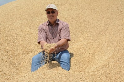 Aksaray'da Kuraklık Rekolteyi Vurdu