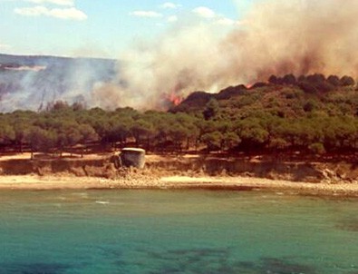 Çanakkale'de şehitliklerin bulunduğu alanda orman yangını