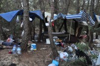 Ormanlık Alanda Ölü Bulundu