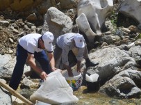 KAZMA KÜREK - Bingöl'de Yaz Ortasında Kar Keyfi