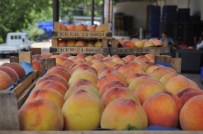 Şeftalinin Fiyatı, Üreticiyi Memnun Etmedi