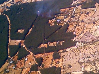 Kahramanmaraş'ta Orman Yangını