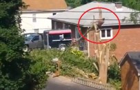 AMATÖR KAMERA - Kestiği Dal Sonu Oluyordu