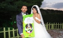 DÜĞÜN HEDİYESİ - Düğüne Çiçek Yerine Köpek Mamasıyla Geldiler
